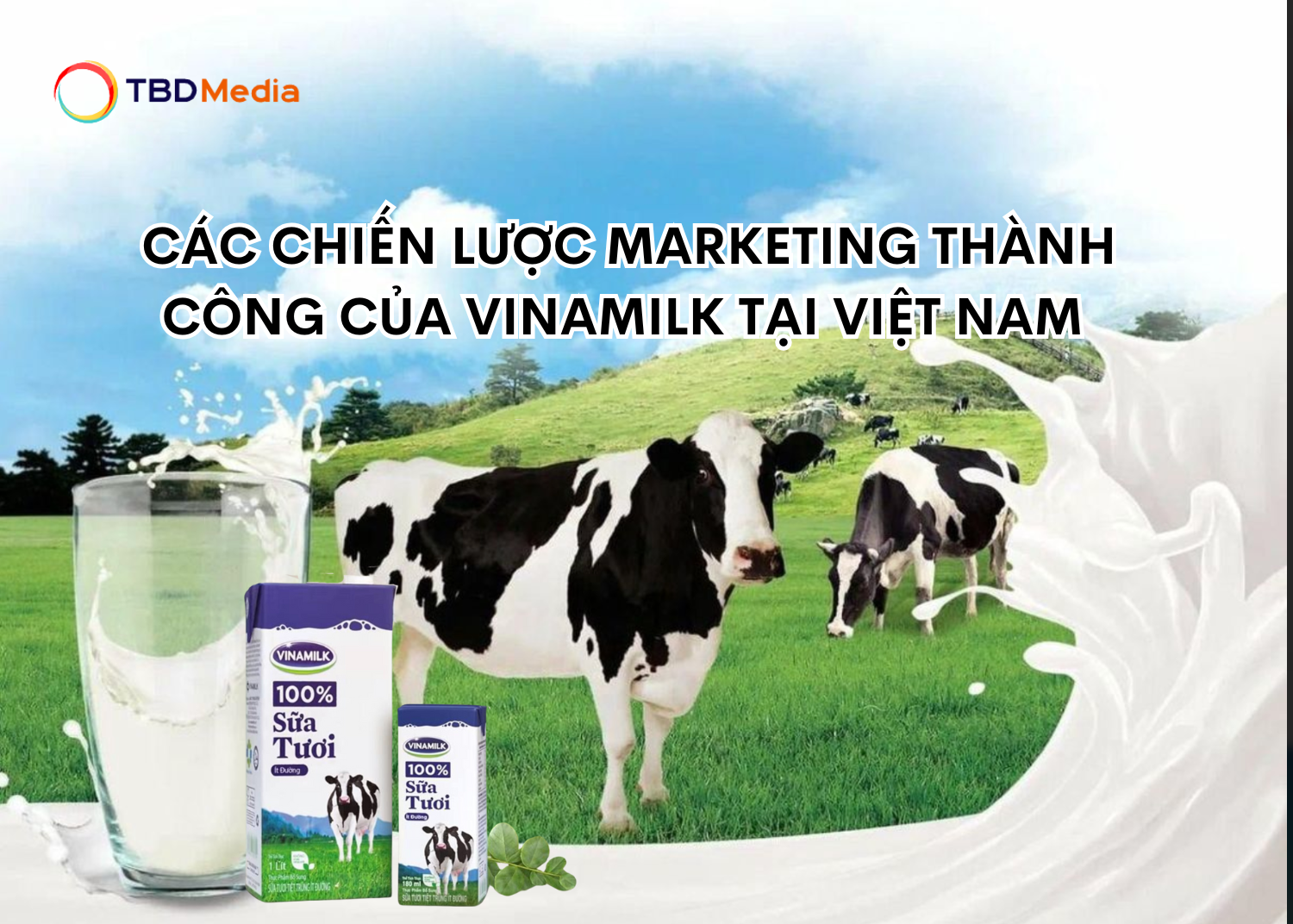 Các Chiến Lược Marketing Thành Công Của Vinamilk Tại Việt Nam