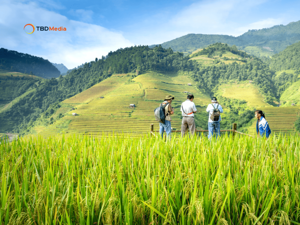 Xác định khách hàng tiêu điểm
